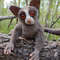 stuffed-animal-monkey-lemur-galago.jpg