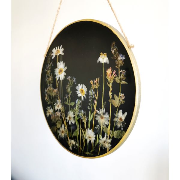 framed  dry flower