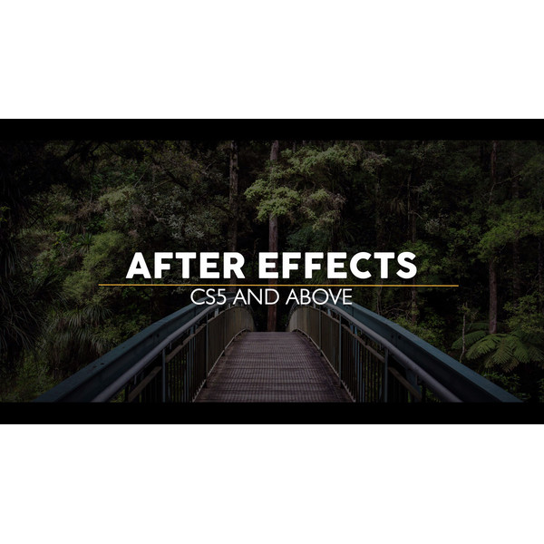 Gold Simple Titles 4K for Premiere Pro & After Effect!  (7).jpg