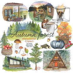 Autumn forest watercolor clipart, Autumn harvest clipart, 300DPI, PNG