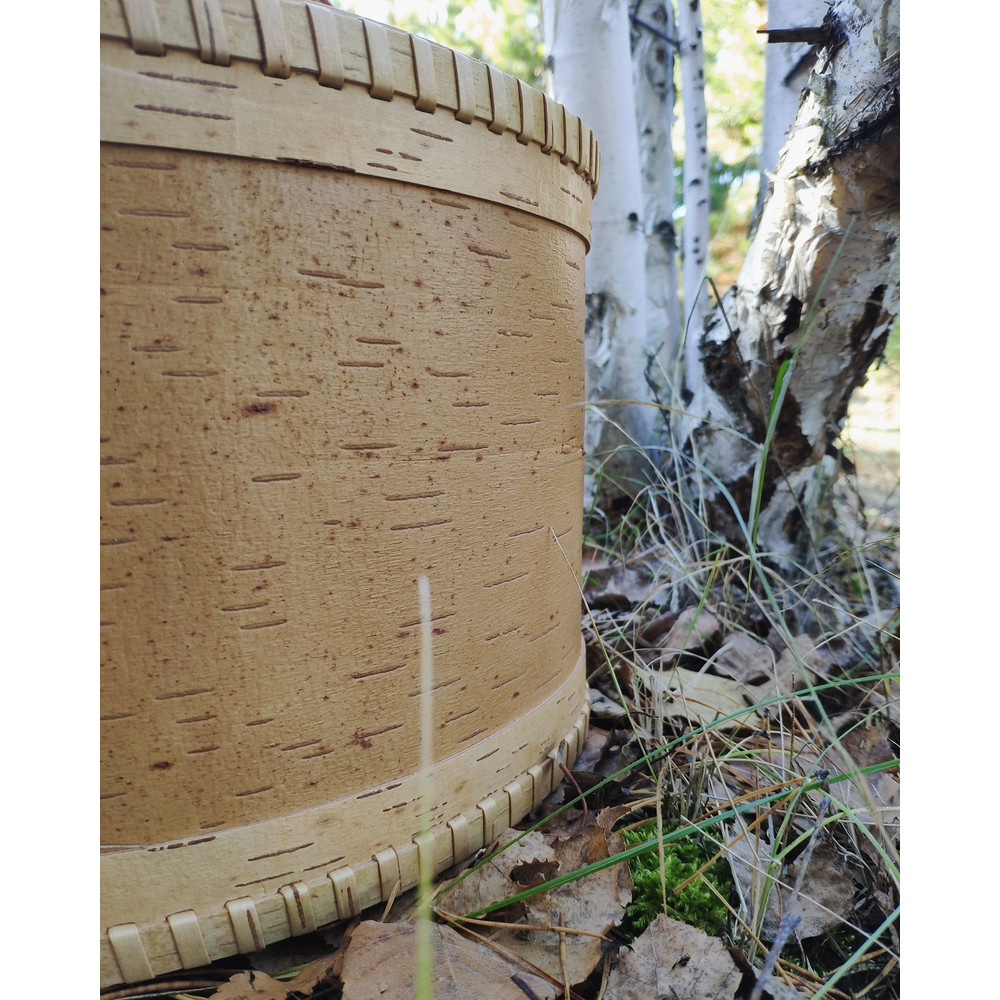 birch bark-6
