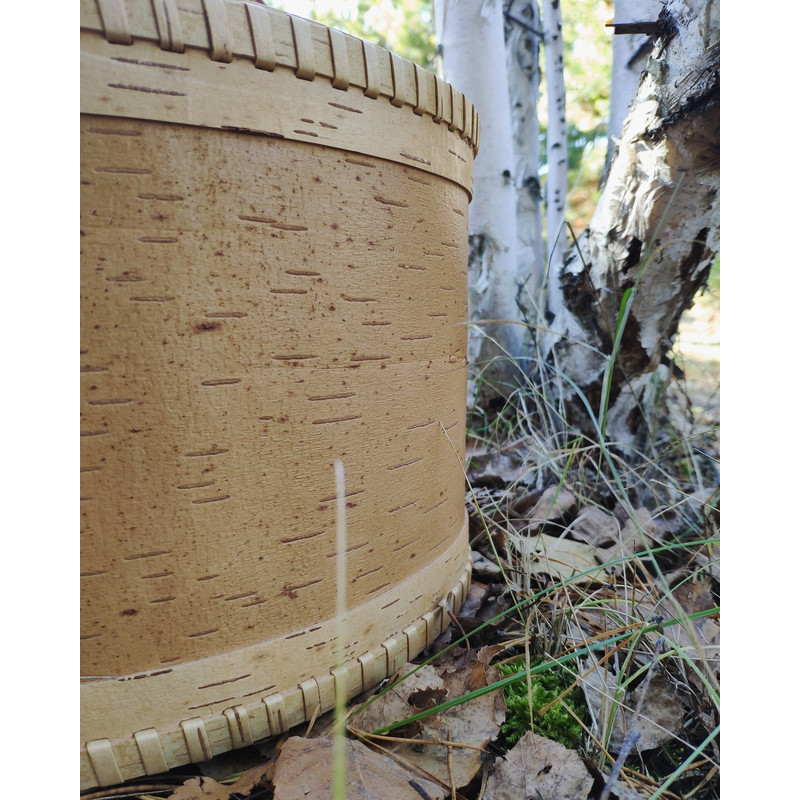 birch bark-6