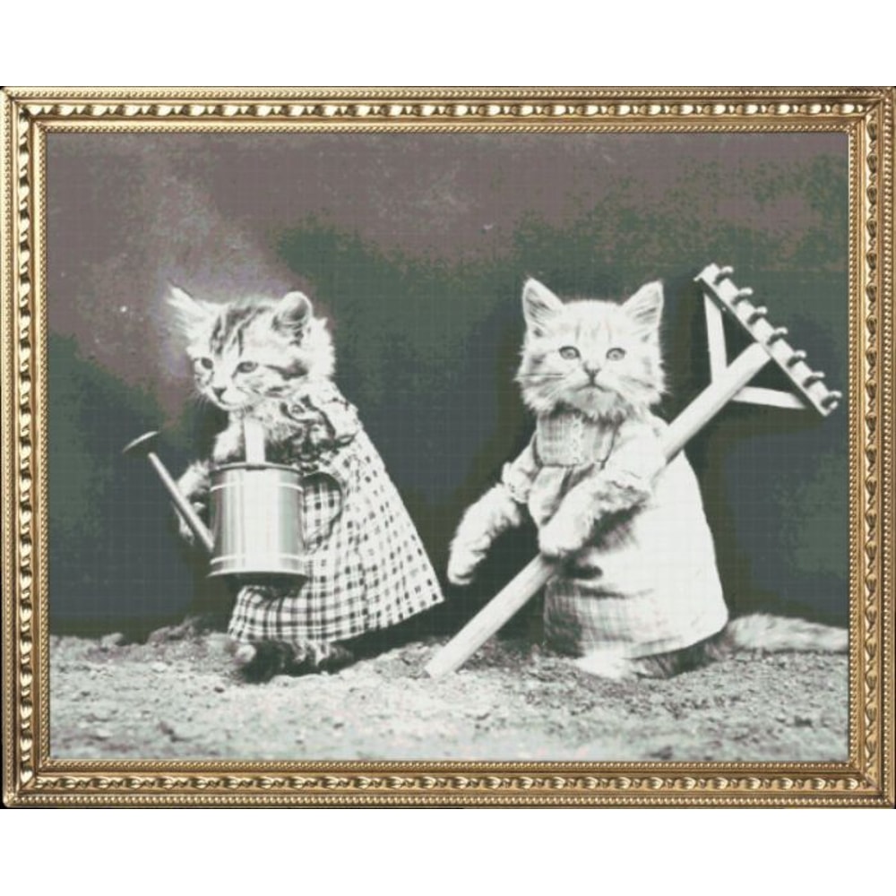 my_photo_metal-62 (2).jpg