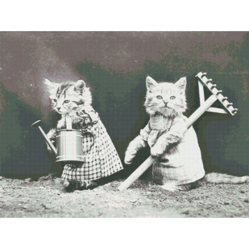 Без названия (4).png