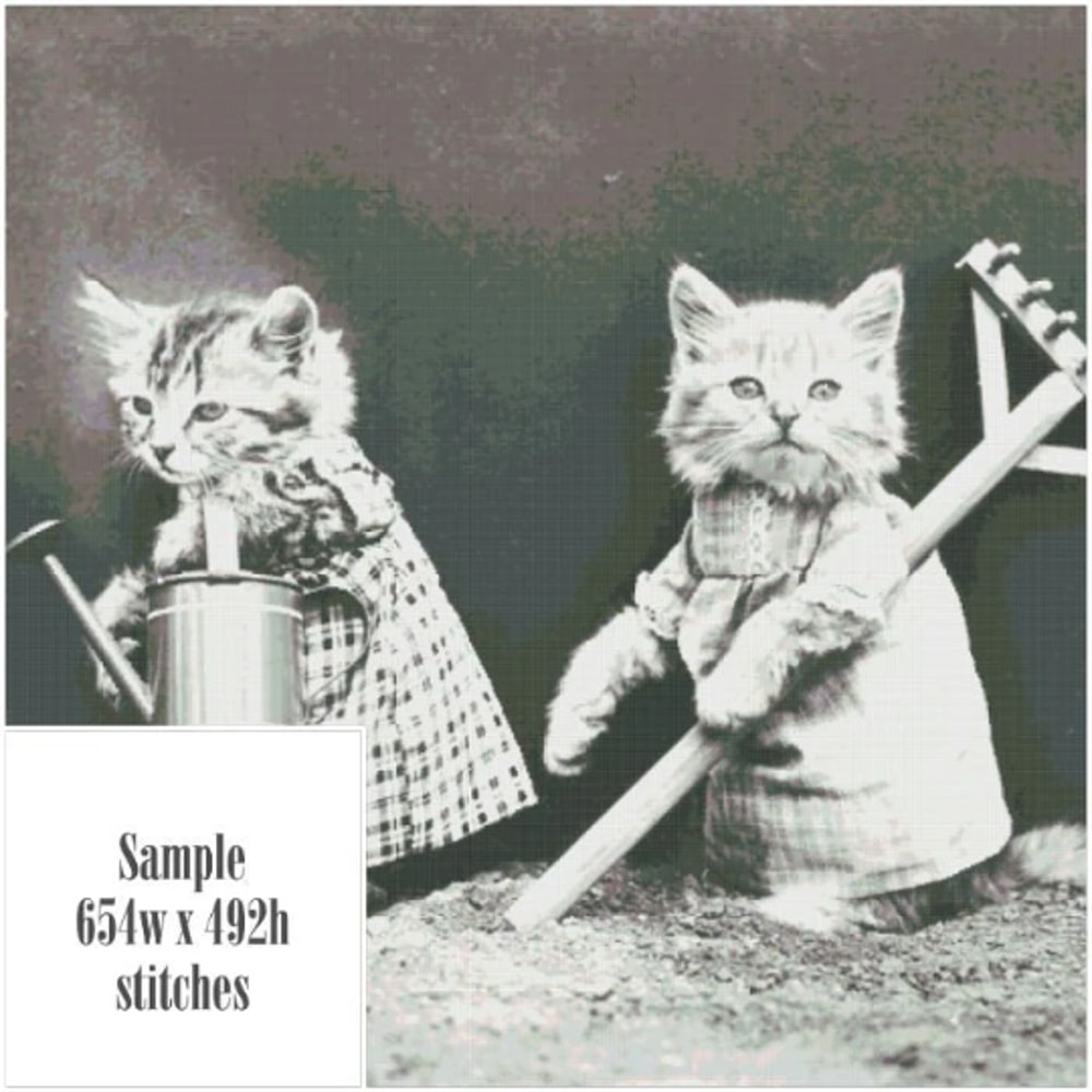 Без названия (5).png