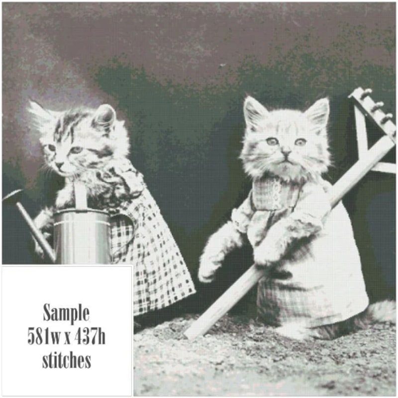 Без названия (6).png