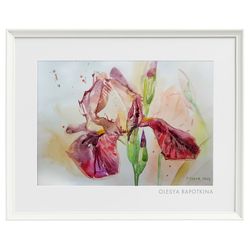 iris flower original art painting picture artwork