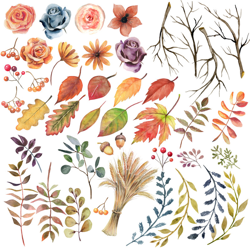 обложка с растениями.jpg