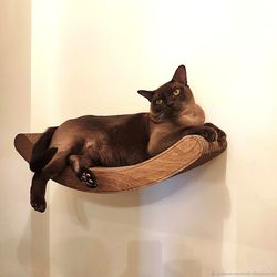 Medium cat lounge Cat shelf-scratching post Cat bed cute Cat furniture Cat hammock Cat tower Cat wall bed Cat Tree
