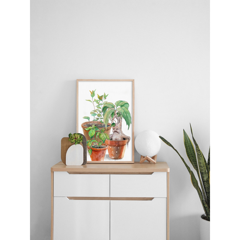 mandrake_6.jpg