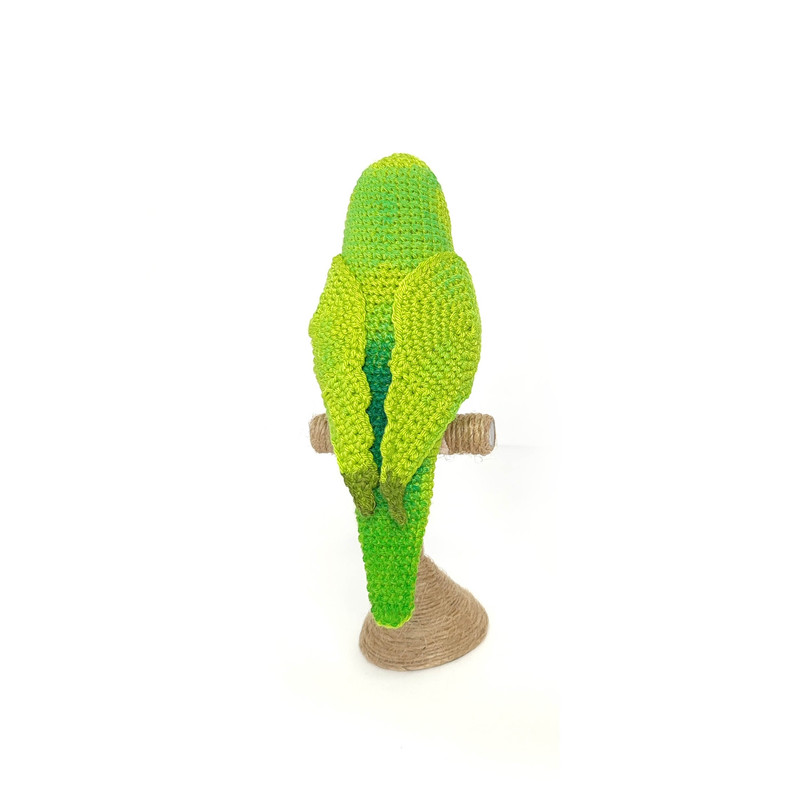 Parrotlet зеленый1.jpg