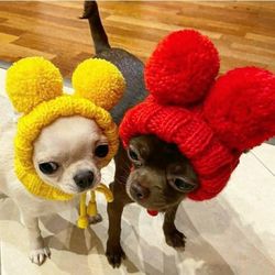 Cute dog hat for chihuahua or other small dogs with two large pompoms and holes for ears.