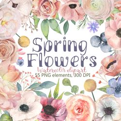 Spring Flowers Watercolor Clipart, Collection of soft pink flowers, Rose, Summer Flowers Clipart, Digital, PNG, DPI 300