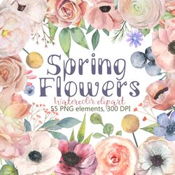 spring flowers watercolor clipart, collection of soft pink flowers, rose, summer flowers clipart, digital, png, dpi 300