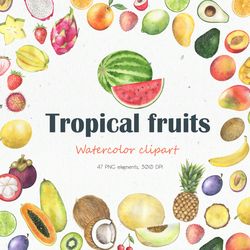 Tropical Fruits Watercolor Clipart, Exotic Fruits Watercolor Set, Collection of Tropical Fruits, Digital, PNG, 300 DPI
