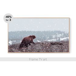 Frame TV Art Digital Download 4K, Samsung Frame TV Art landscape winter, Frame TV art farmhouse nature animals | 243