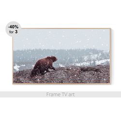 frame tv art digital download 4k, samsung frame tv art landscape winter, frame tv art farmhouse nature animals | 243