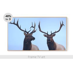 Samsung Frame TV Art Digital Download 4K, Frame TV art deer, Frame TV art farmhouse, Frame TV art winter animals | 247