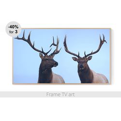samsung frame tv art digital download 4k, frame tv art deer, frame tv art farmhouse, frame tv art winter animals | 247