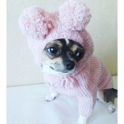 Dog hoodie Teddy bear for chihuahua or other small dog.