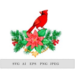 christmas composition with cardinal and poinsettia