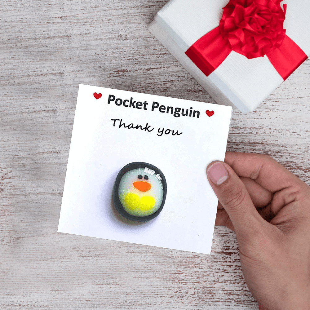 Mini Pocket Penguin Care-Bringing Hug 3