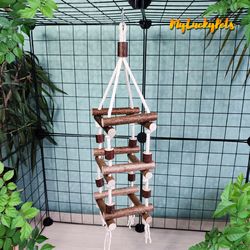 Hanging rope ladder for small pets and birds. Natural decor of a cage for Parakeet, Rat cage accessories . Bird cage toy