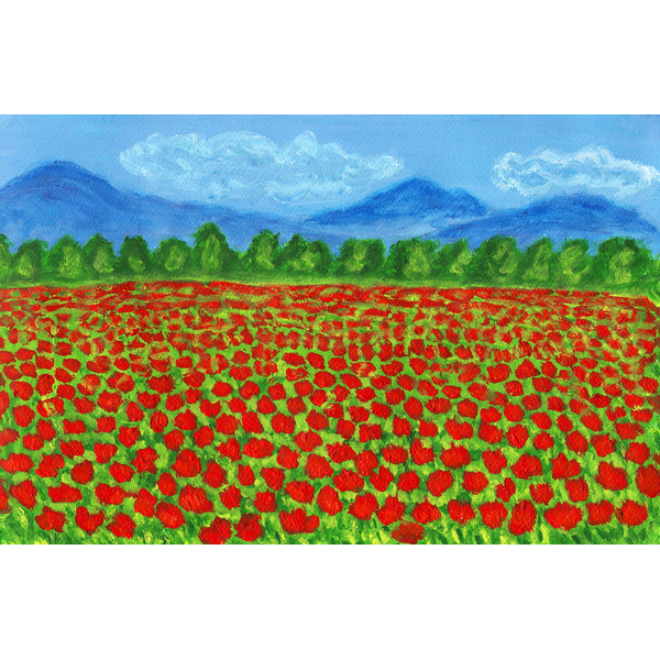 Meadow with red poppies.jpg
