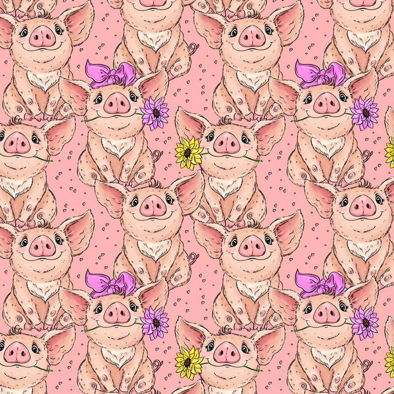 ВИЗУАЛ 1 БФ .jpg