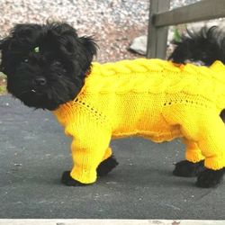Dog jumpsuit for a small dog boy with open tummy.