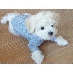 Dog sweater for chihuahua or other small dog.