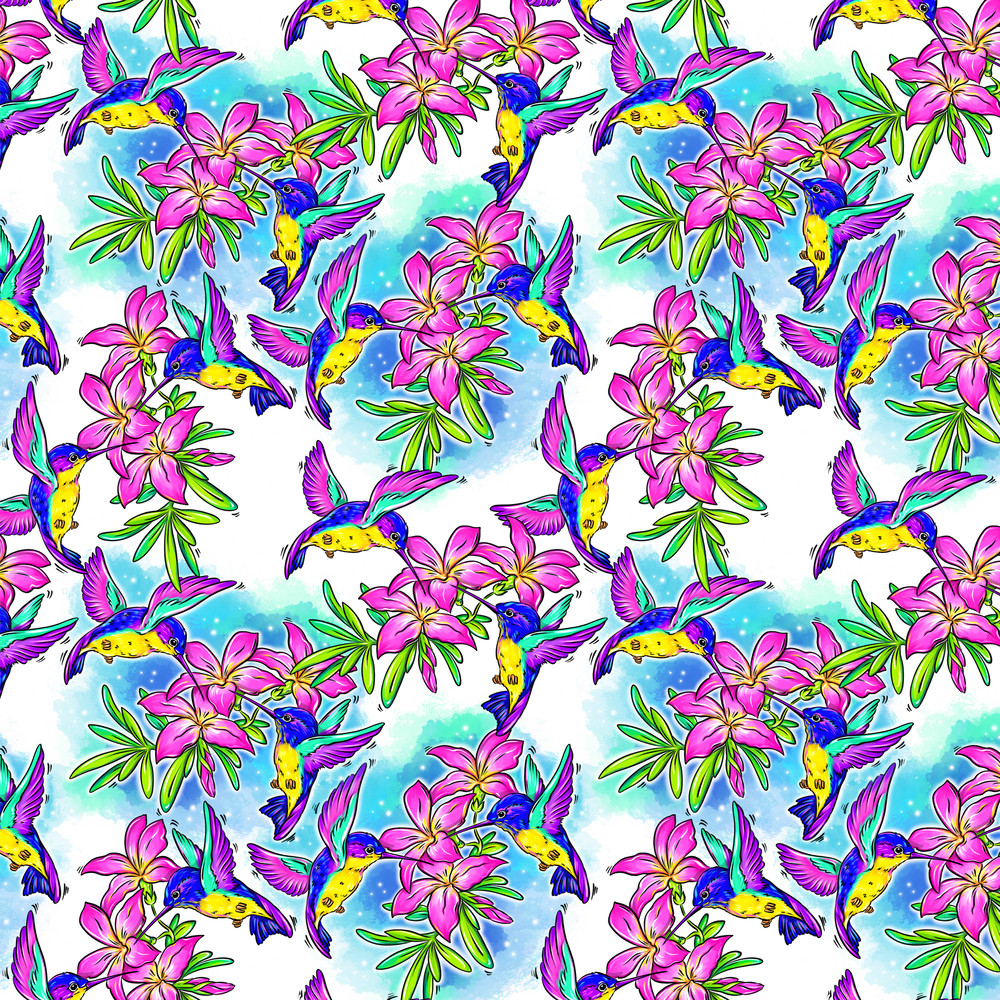 ВИЗУАЛ 1 Колибри.jpg