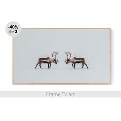 Samsung Frame TV Art Digital Download 4K, Samsung Frame TV art deer, Frame TV art winter, Frame TV art animals | 187