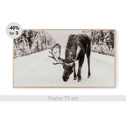 Frame TV Art Digital Download 4K, Samsung Frame TV art moose, Frame TV art farmhouse, Frame TV art winter | 188