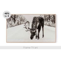 frame tv art digital download 4k, samsung frame tv art moose, frame tv art farmhouse, frame tv art winter | 188