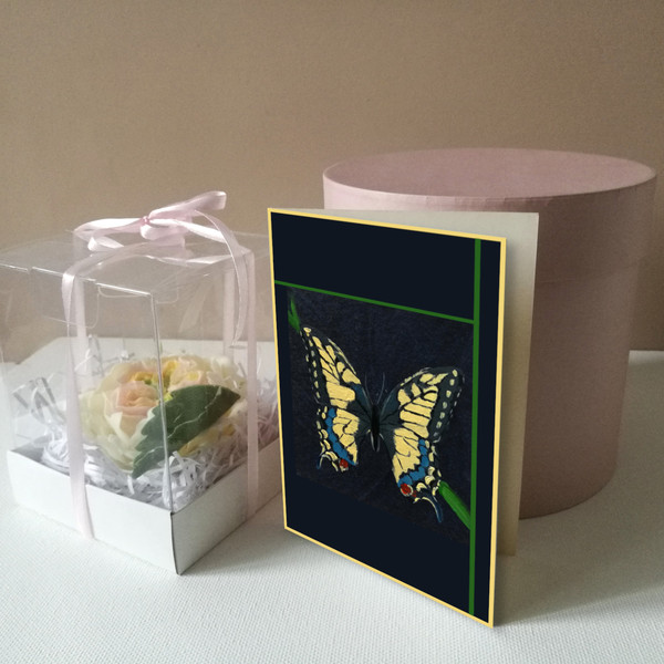butterfly card 2.jpg