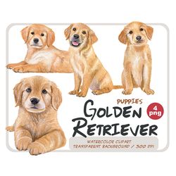 watercolor golden retriever puppies clipart-labrador png