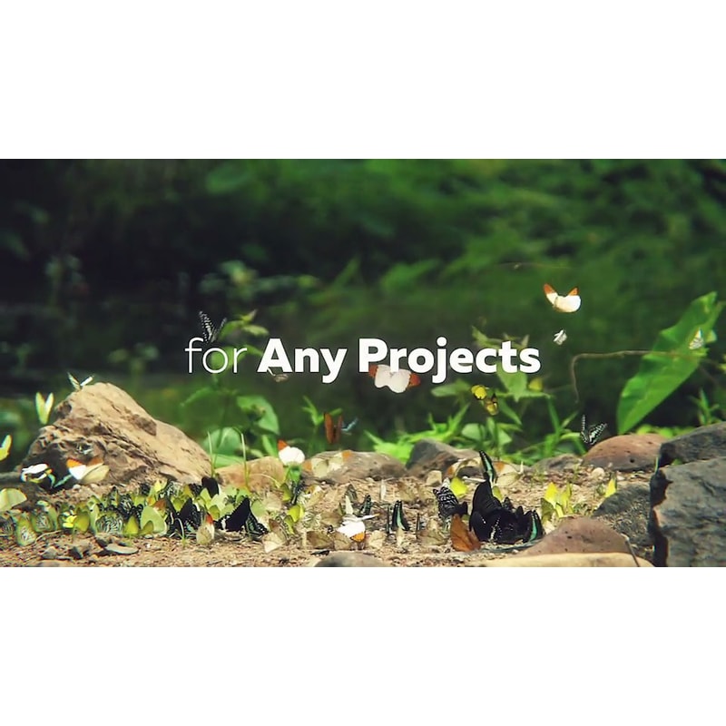 Dynamic Transitions for After Effects (2).jpg