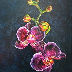 Mysterious orchid 40*50