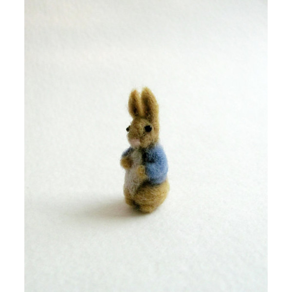 miniature-peter-rabbit-1
