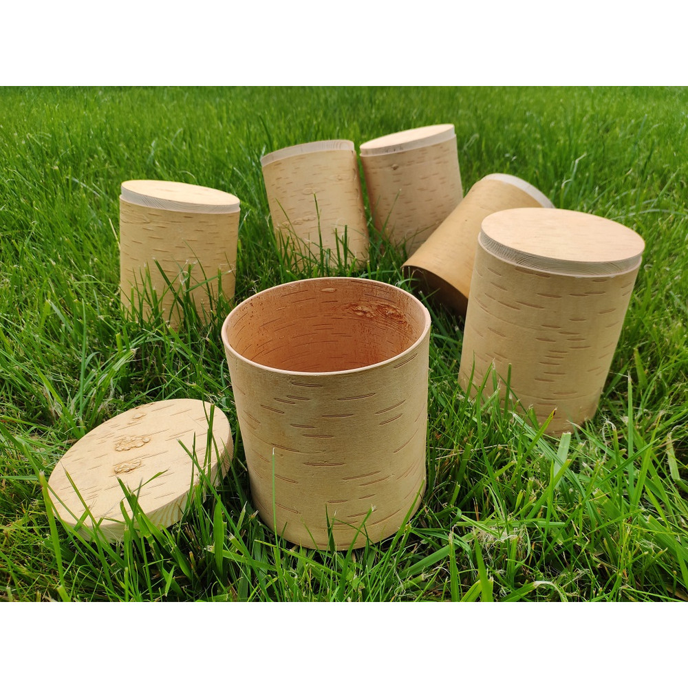 Birch bark box-1