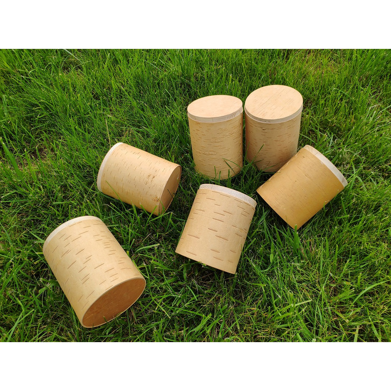 Birch bark box-2