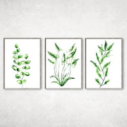 Set of 3 Botanical Print Set, Plant Posters, Greenery Prints, Leaf Prints, Foliage Prints, Living Room Decor