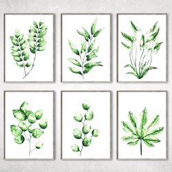 Set of 6 Botanical Print Set, Plant Posters, Greenery Prints, Watercolor Botanical Prints, Green plant paintings