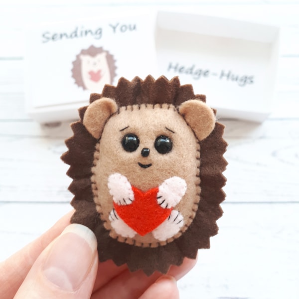 Hedgehog gifts, Pocket hug in a box, Valentines day gift for | Inspire ...