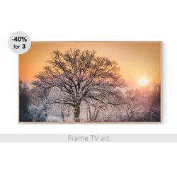 Frame TV Art Download 4K, Frame TV art winter landscape, Frame Tv Art nature snow, Frame TV art Christmas | 235