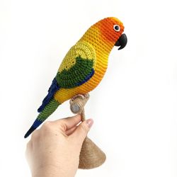 Sun conure parakeet crochet bird