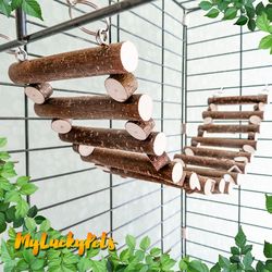 wooden rat, chinchilla ladders. rat cage accessories. hazel eco ladder bird. parrot ladder