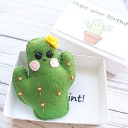 Cactus, Fake plants, Pocket hug in a box, Plant lover gift, Plant mom gift, 50th birthday gift for women, Plant dad gift