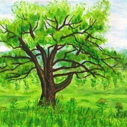 Willow tree on meadow summer landscape watercolor painting
